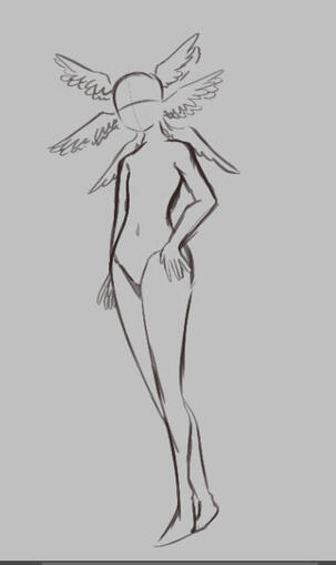 Anatomy practice